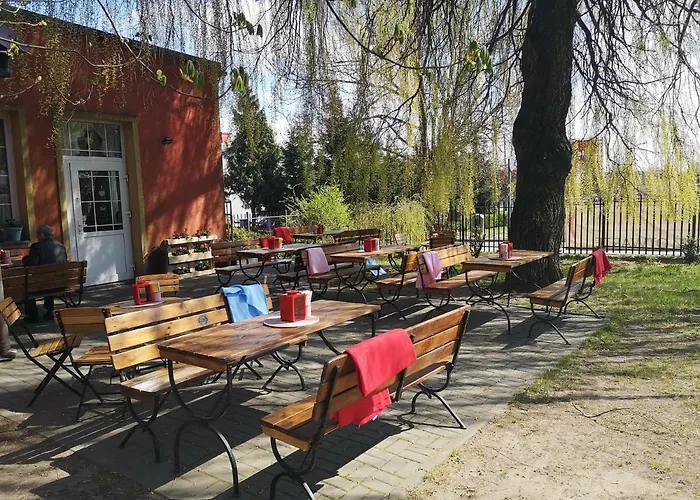 Gryf 2* Kościerzyna